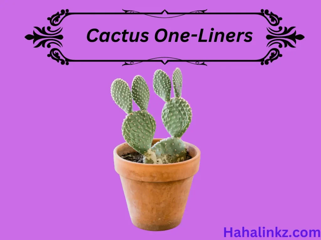 Cactus One-Liners