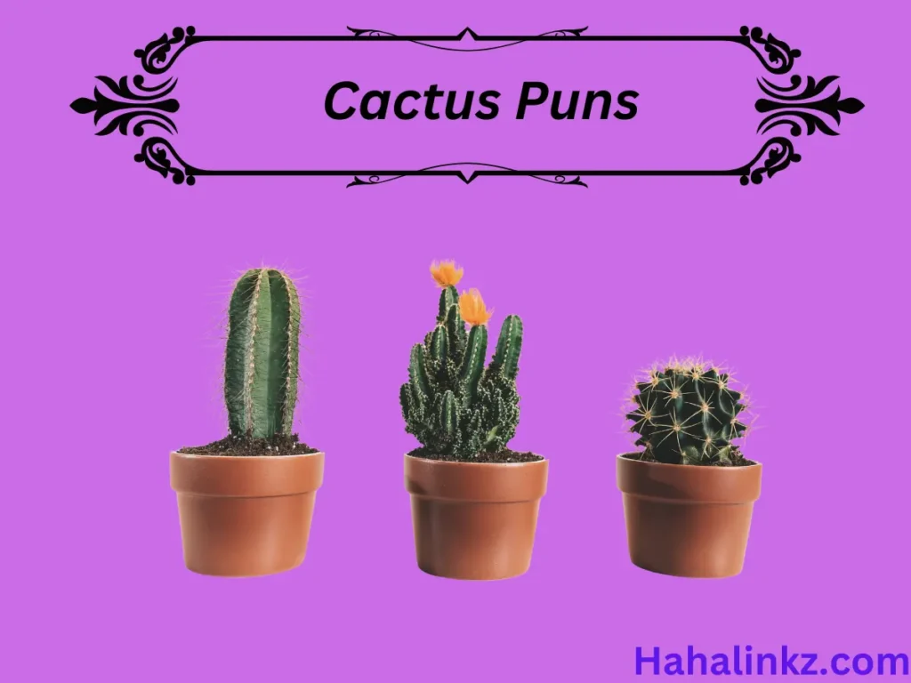 Cactus Puns