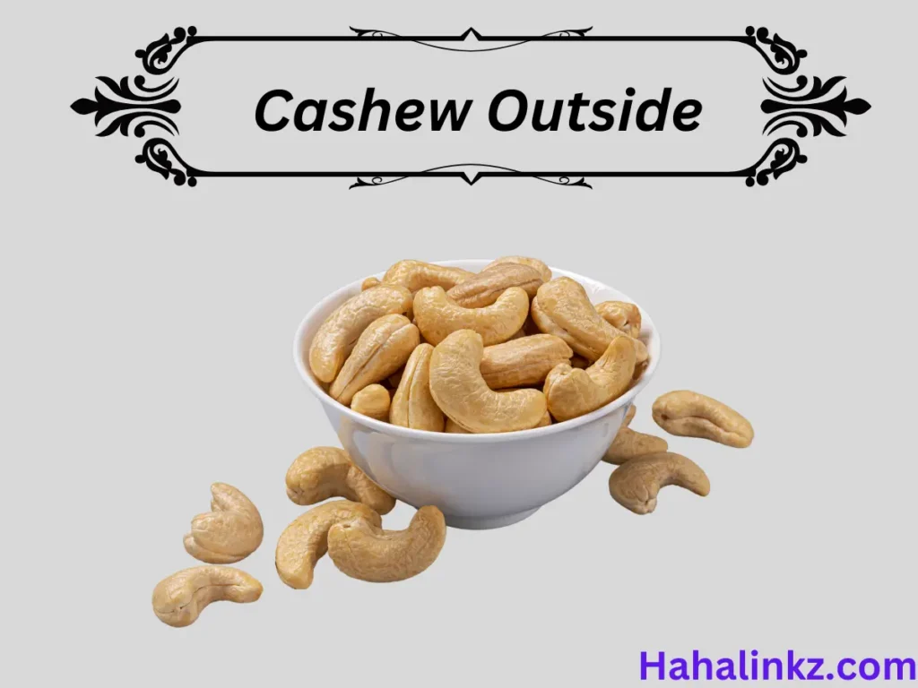Cashew Outside