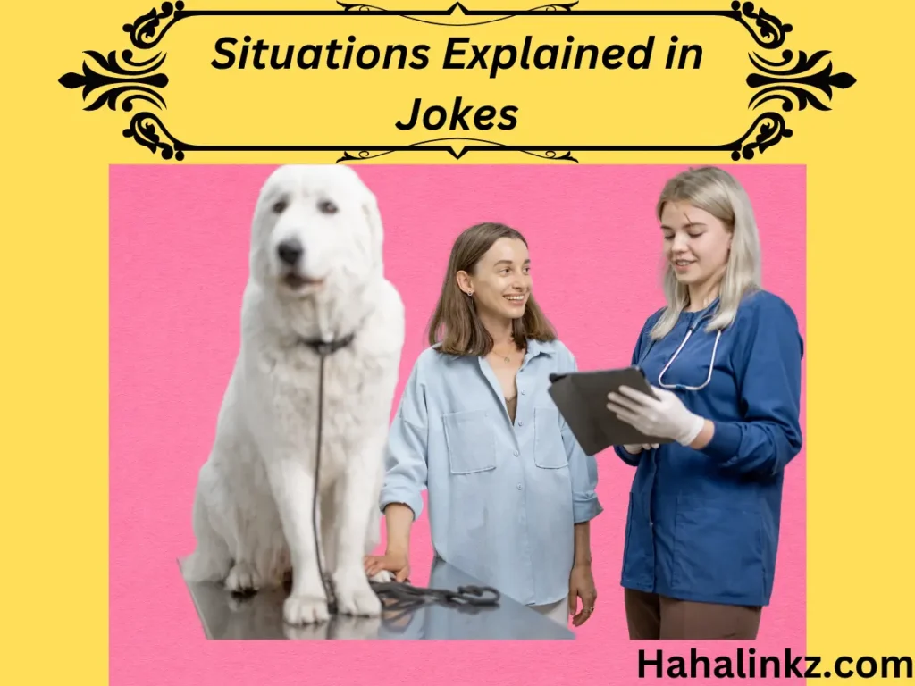 Situations Explained in Jokes