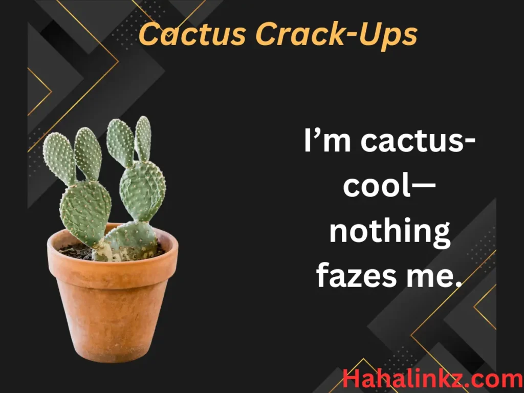 Cactus Crack-Ups