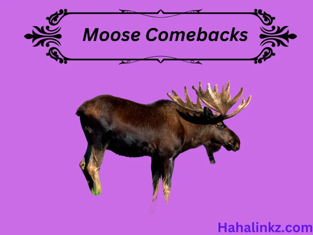 Moose Comebacks