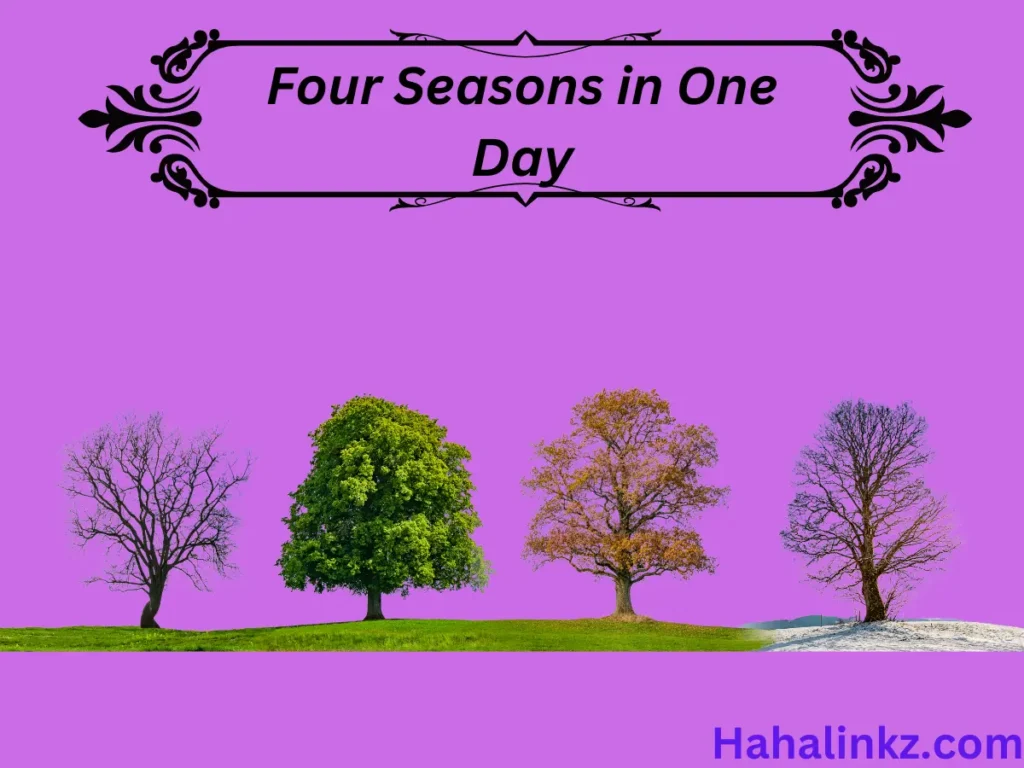 Four Seasons in One Day