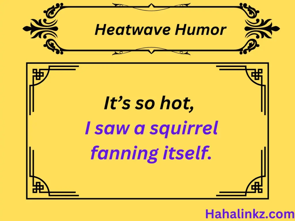 Heatwave Humor