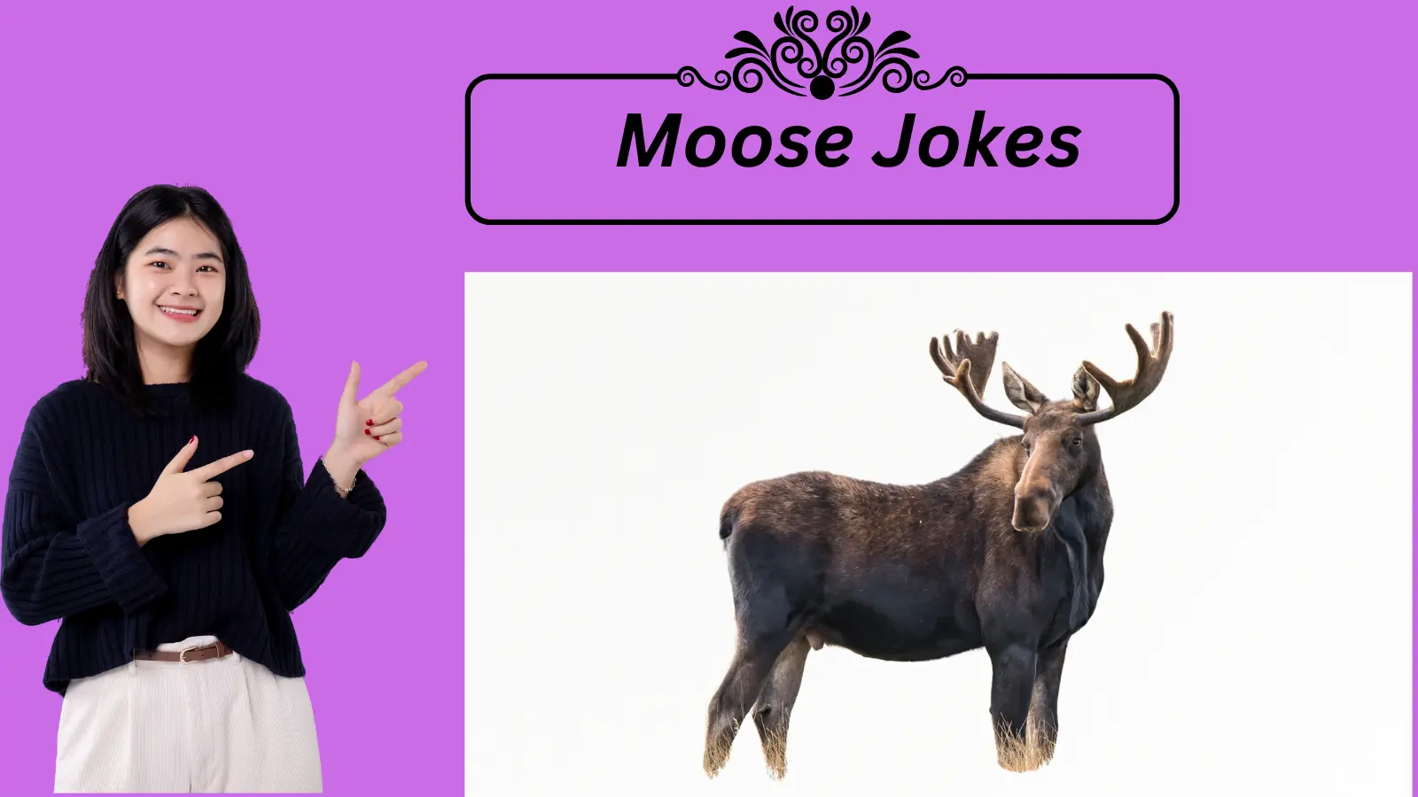 Read more about the article 🎉 Moose Jokes: The Best Way to Add Some Wild Fun to Your Day!