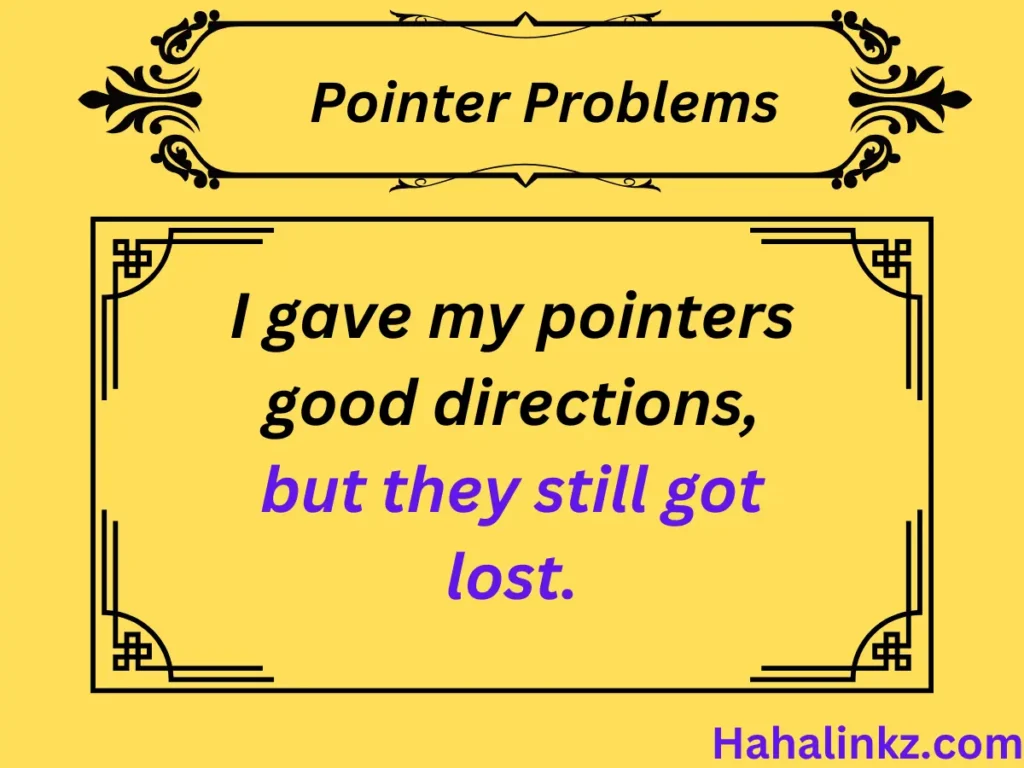 Pointer Problems