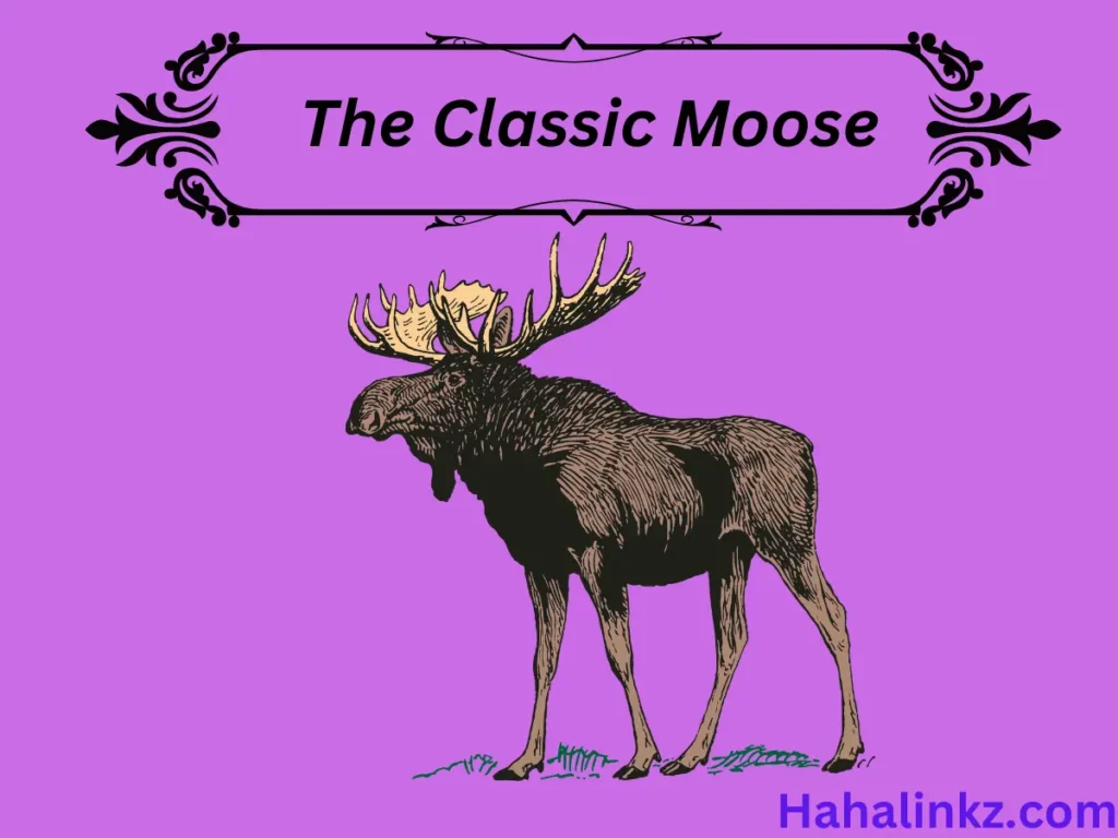 The Classic Moose