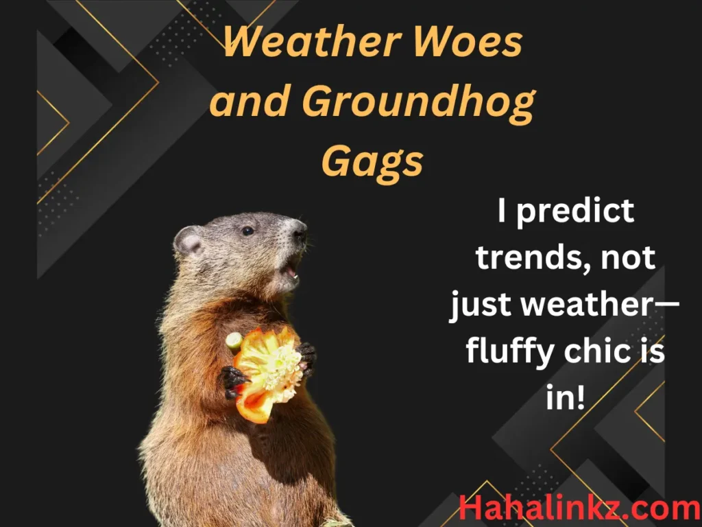 zWeather Woes and Groundhog Gags