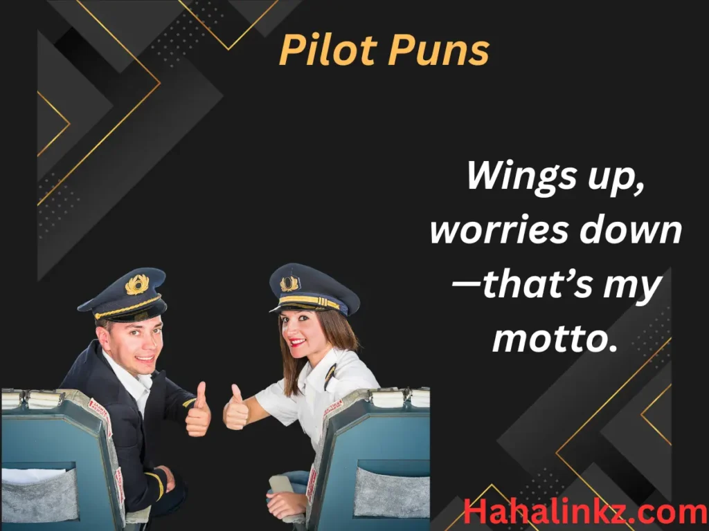Pilot Puns